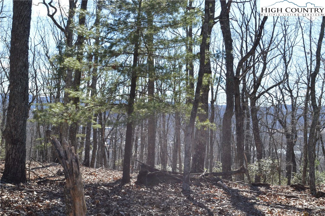 Image number 3 for the current listing