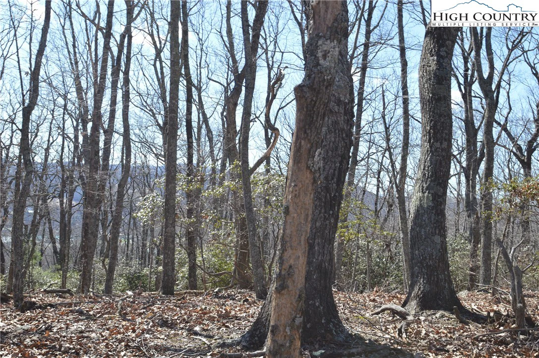 Image number 4 for the current listing