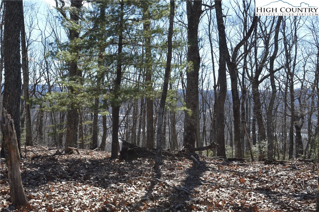 Image number 7 for the current listing