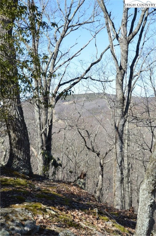 Image number 9 for the current listing