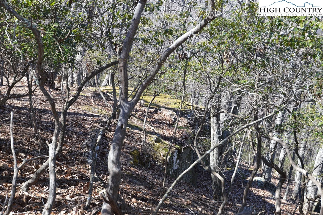 Image number 10 for the current listing