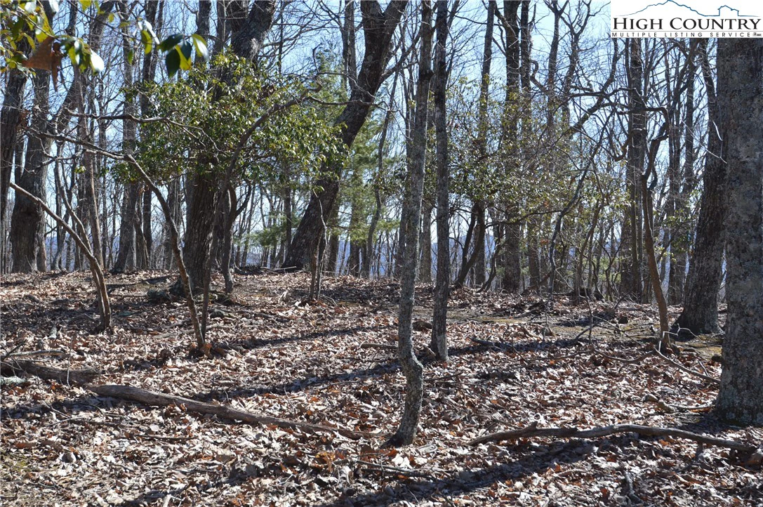 Image number 11 for the current listing