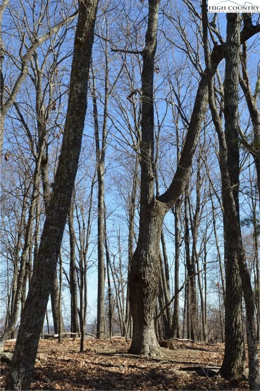 Image number 2 for the current listing