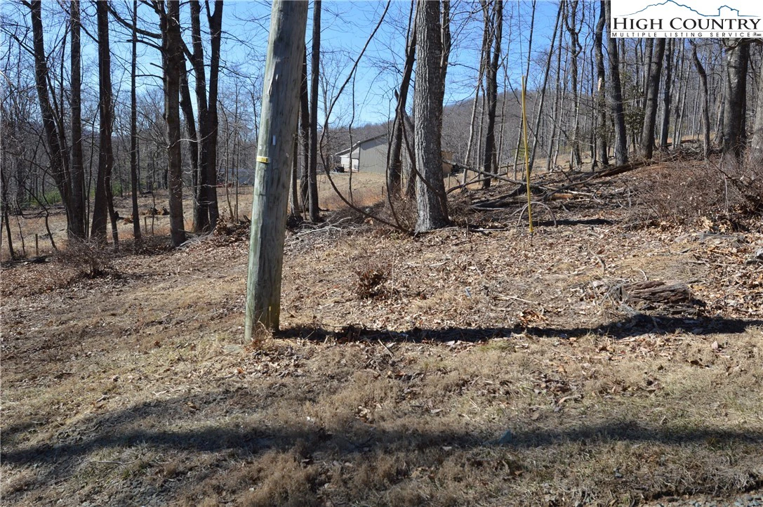Image number 17 for the current listing