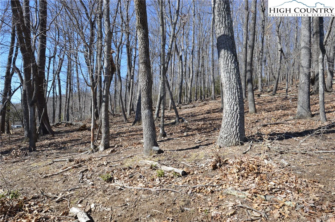Image number 18 for the current listing