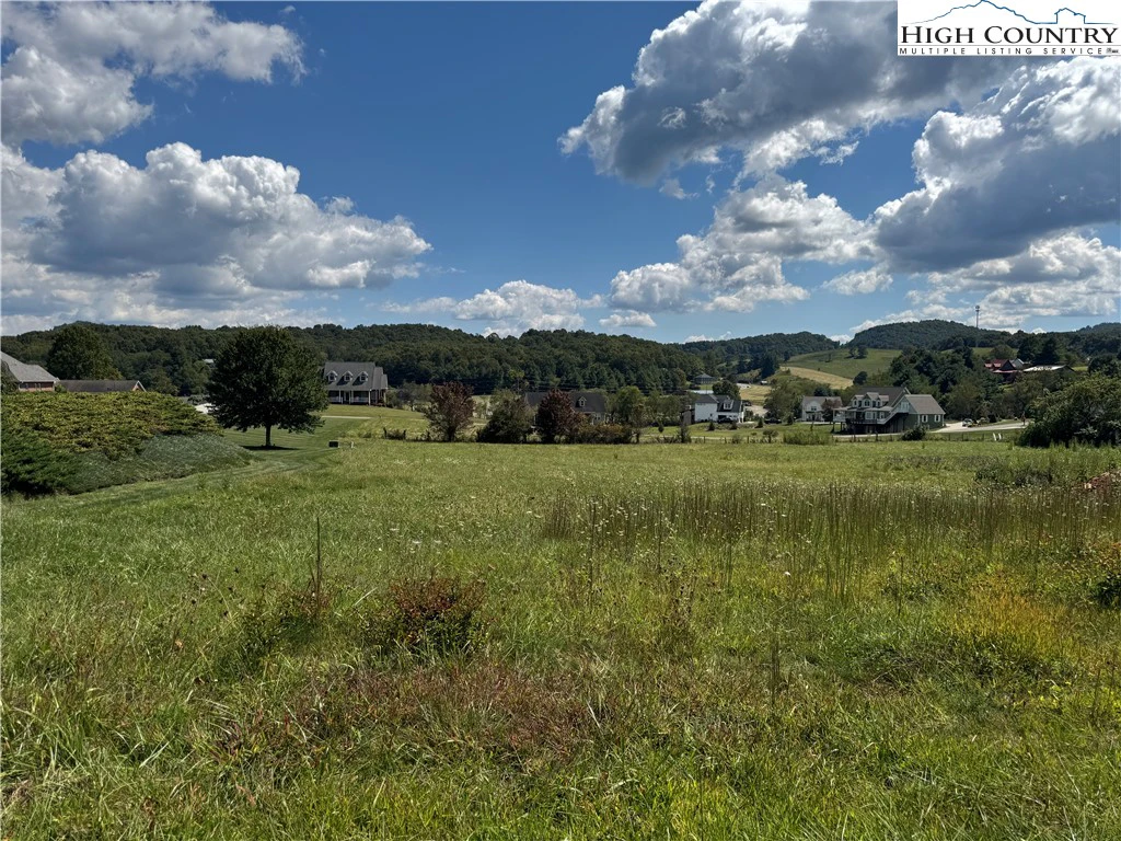 Image number 15 for the current listing