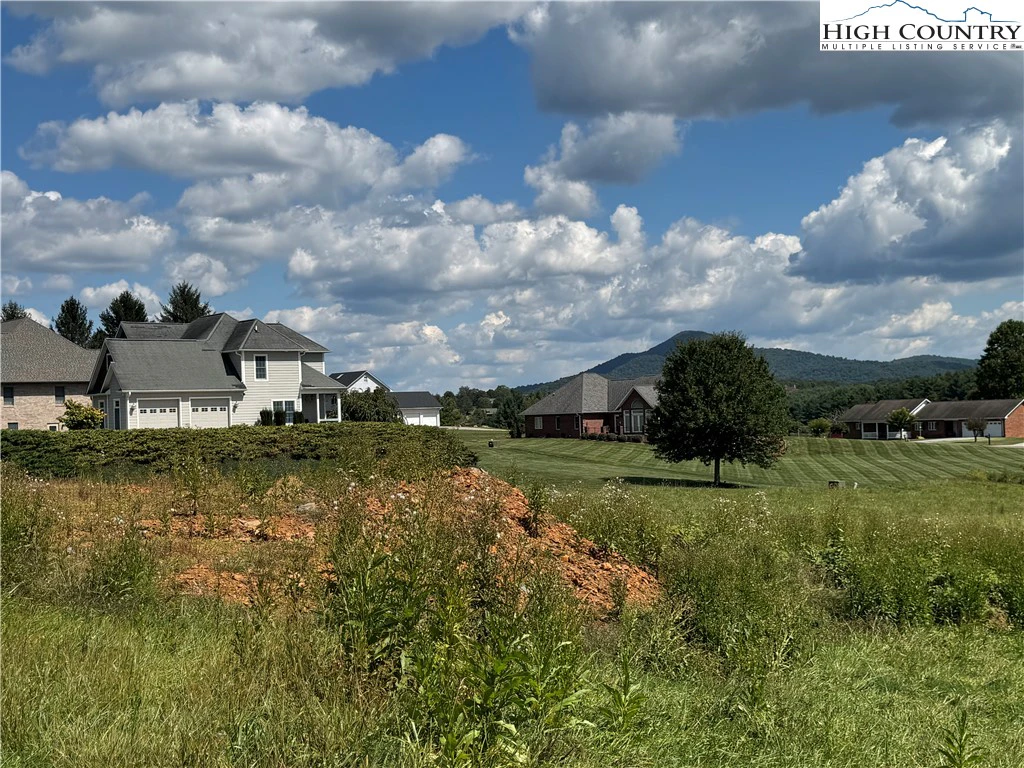 Image number 5 for the current listing