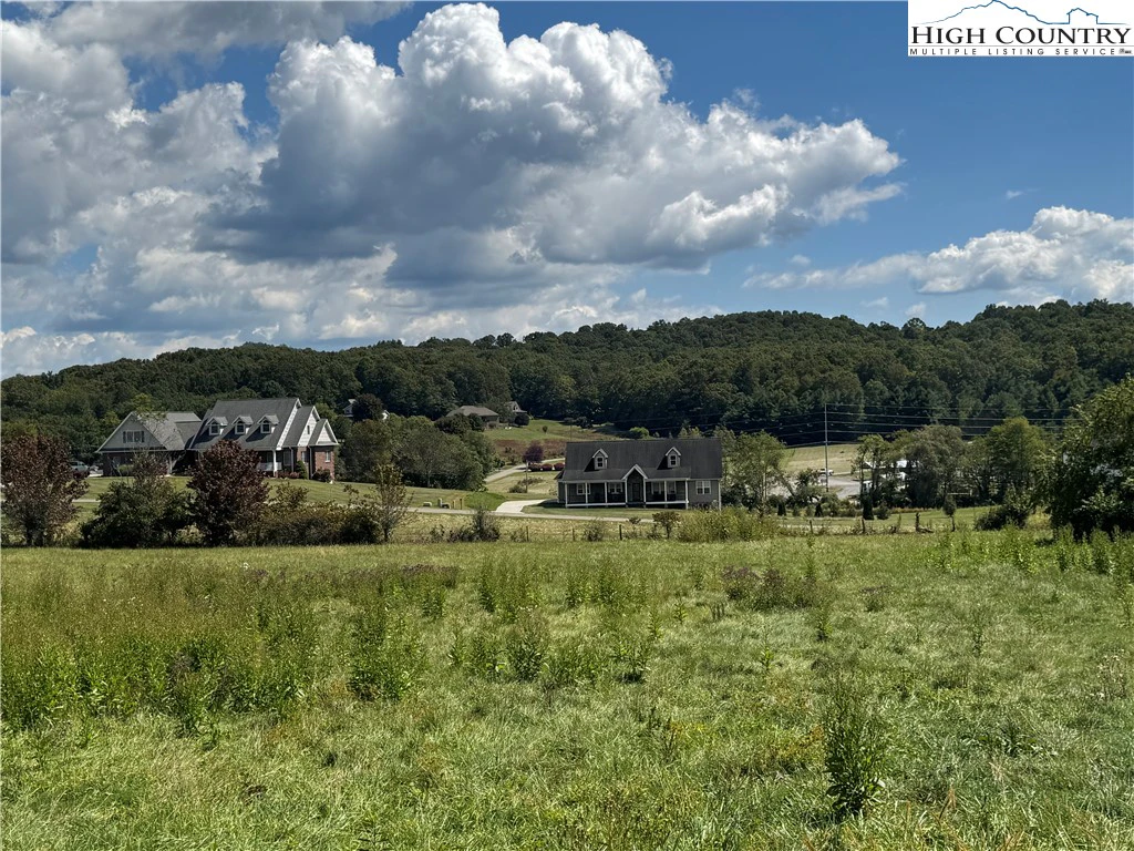 Image number 3 for the current listing