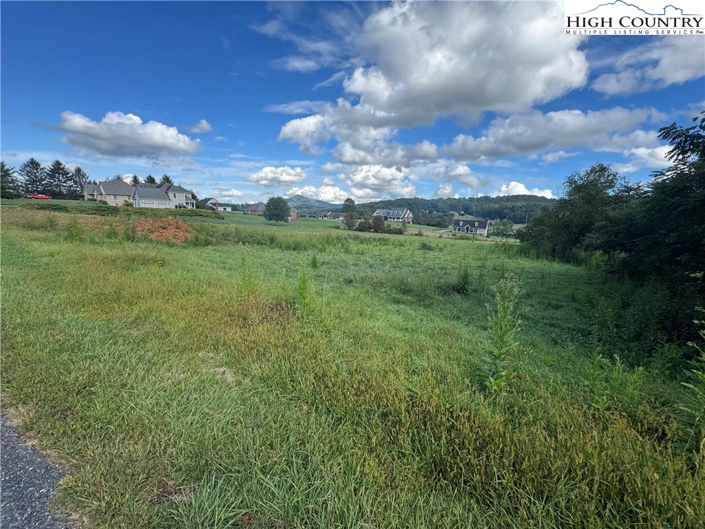 Image number 7 for the current listing