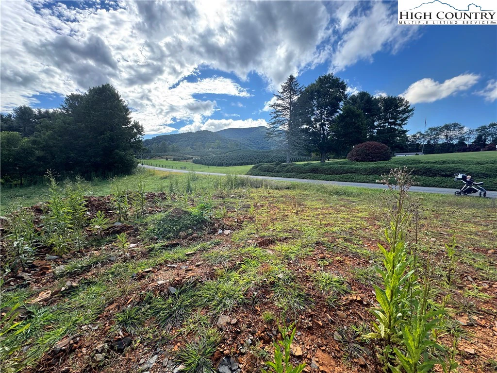 Image number 14 for the current listing