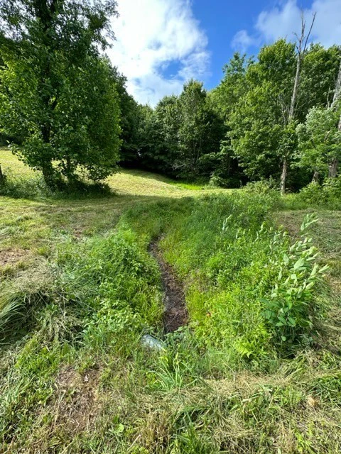 Image number 3 for the current listing