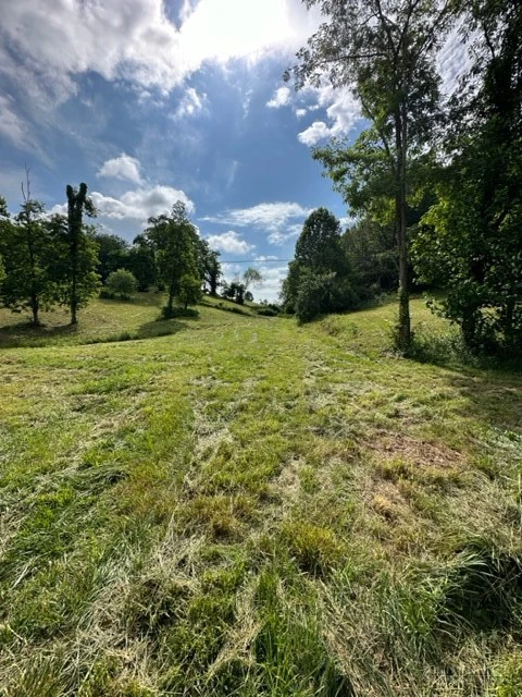 Image number 4 for the current listing