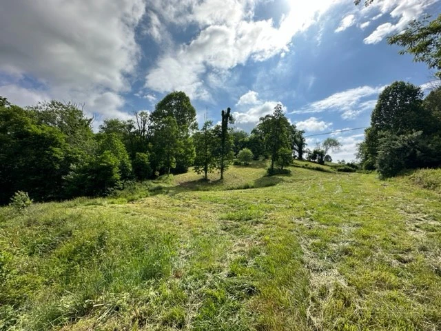 Image number 5 for the current listing