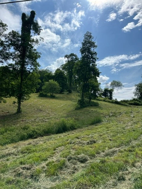 Image number 6 for the current listing