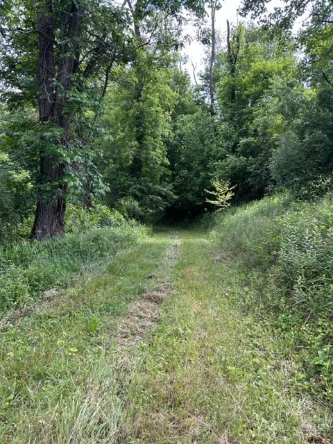 Image number 7 for the current listing