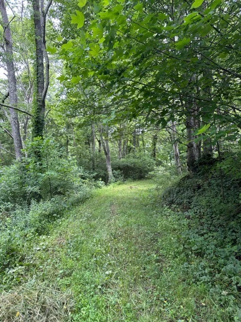 Image number 8 for the current listing