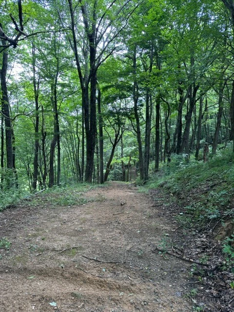Image number 9 for the current listing