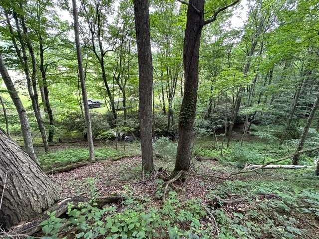 Image number 13 for the current listing