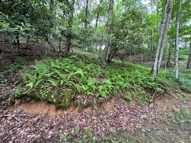 Image number 15 for the current listing