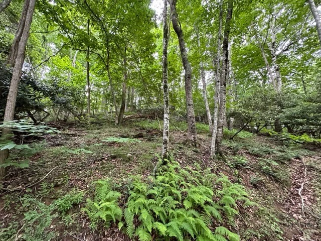 Image number 19 for the current listing