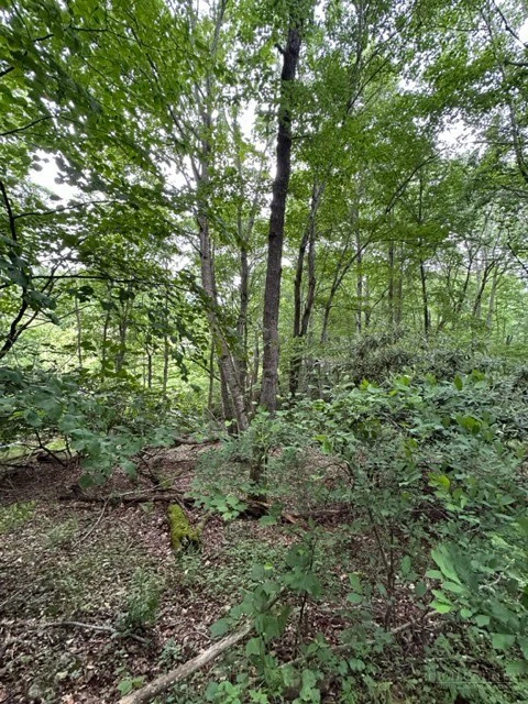 Image number 20 for the current listing