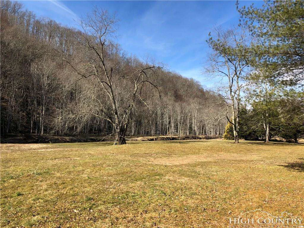 Image number 12 for the current listing