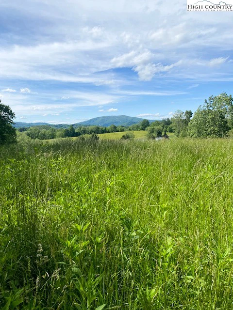 Image number 1 for the current listing