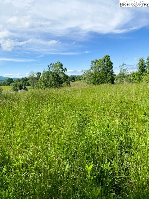 Image number 5 for the current listing