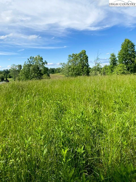 Image number 6 for the current listing