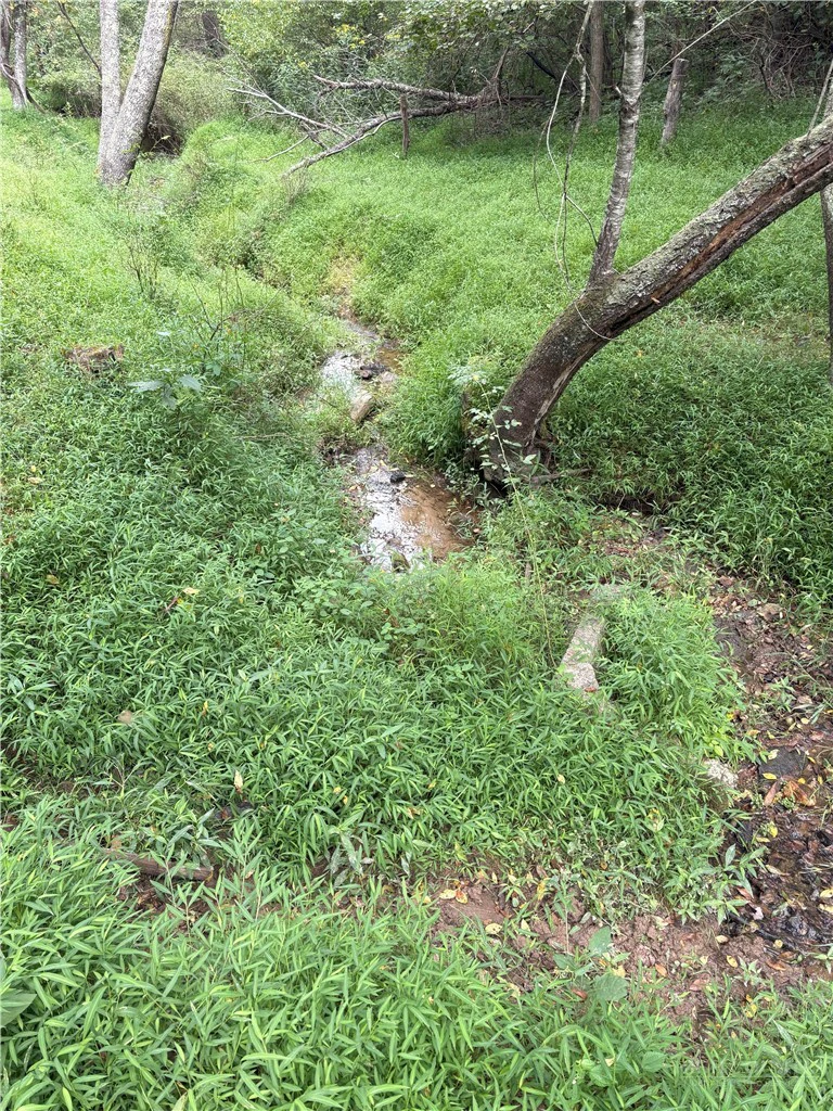 Image number 2 for the current listing