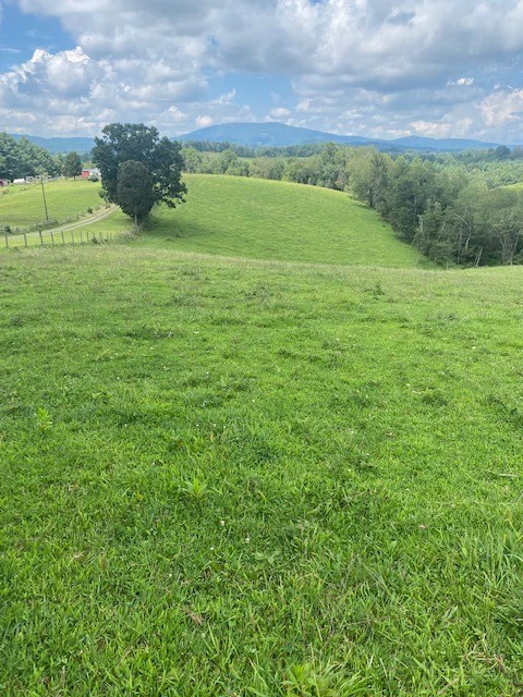 Image number 5 for the current listing