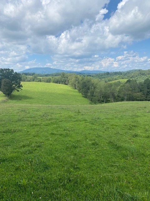Image number 6 for the current listing