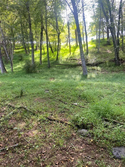 Image number 17 for the current listing