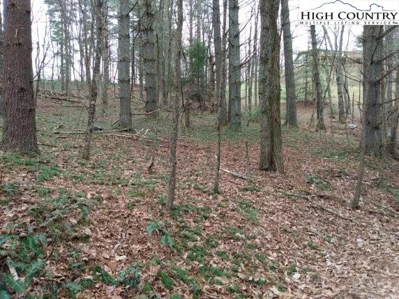 Image number 3 for the current listing