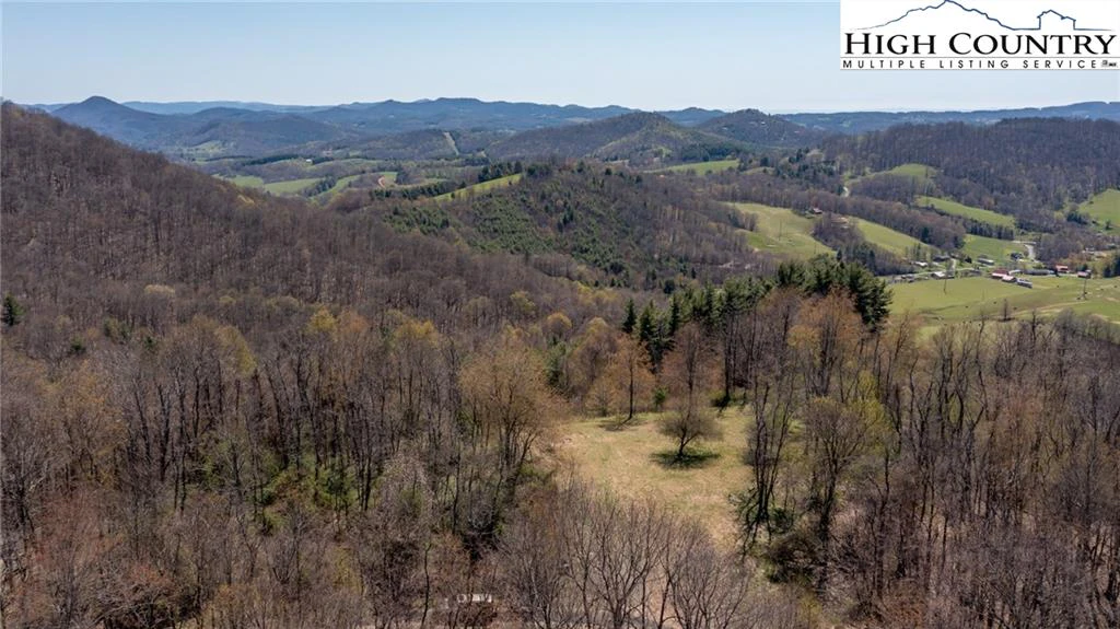 Image number 1 for the current listing
