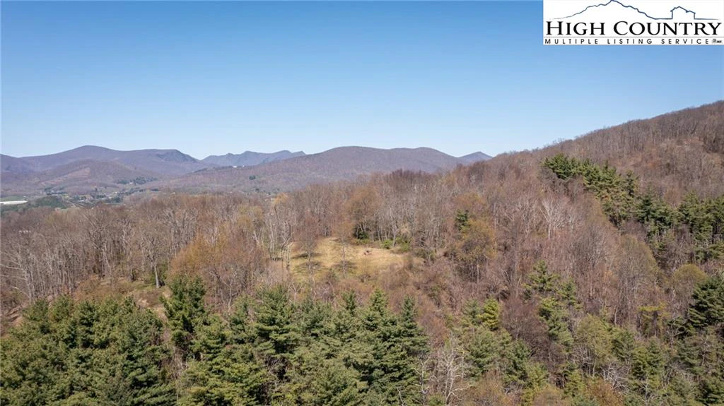 Image number 10 for the current listing