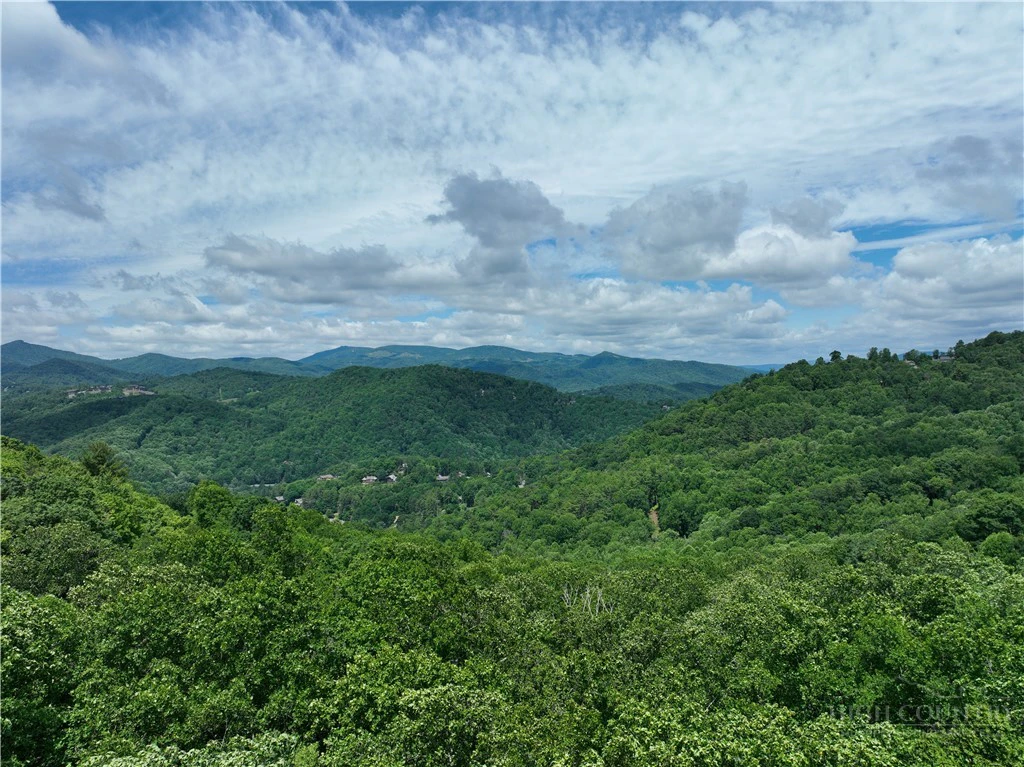 Image number 2 for the current listing