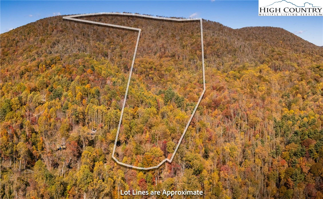 Image number 1 for the current listing