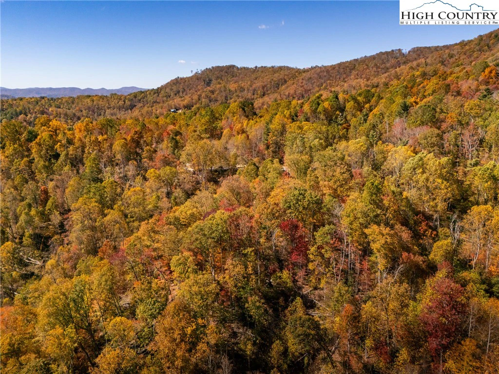 Image number 11 for the current listing