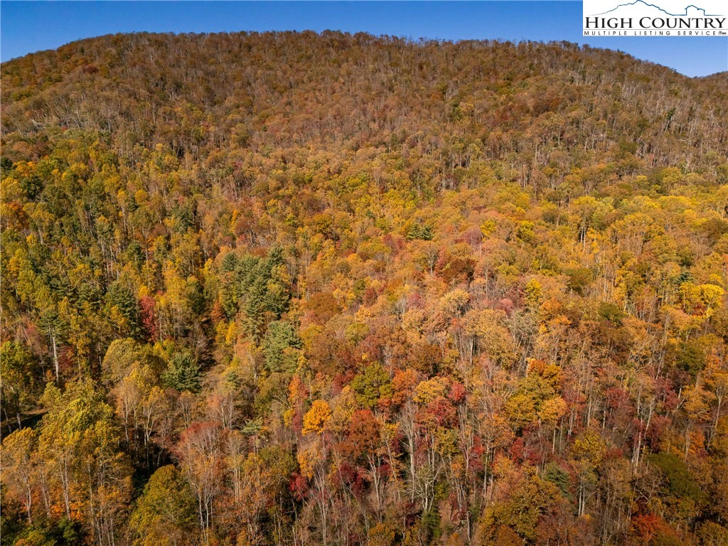Image number 3 for the current listing
