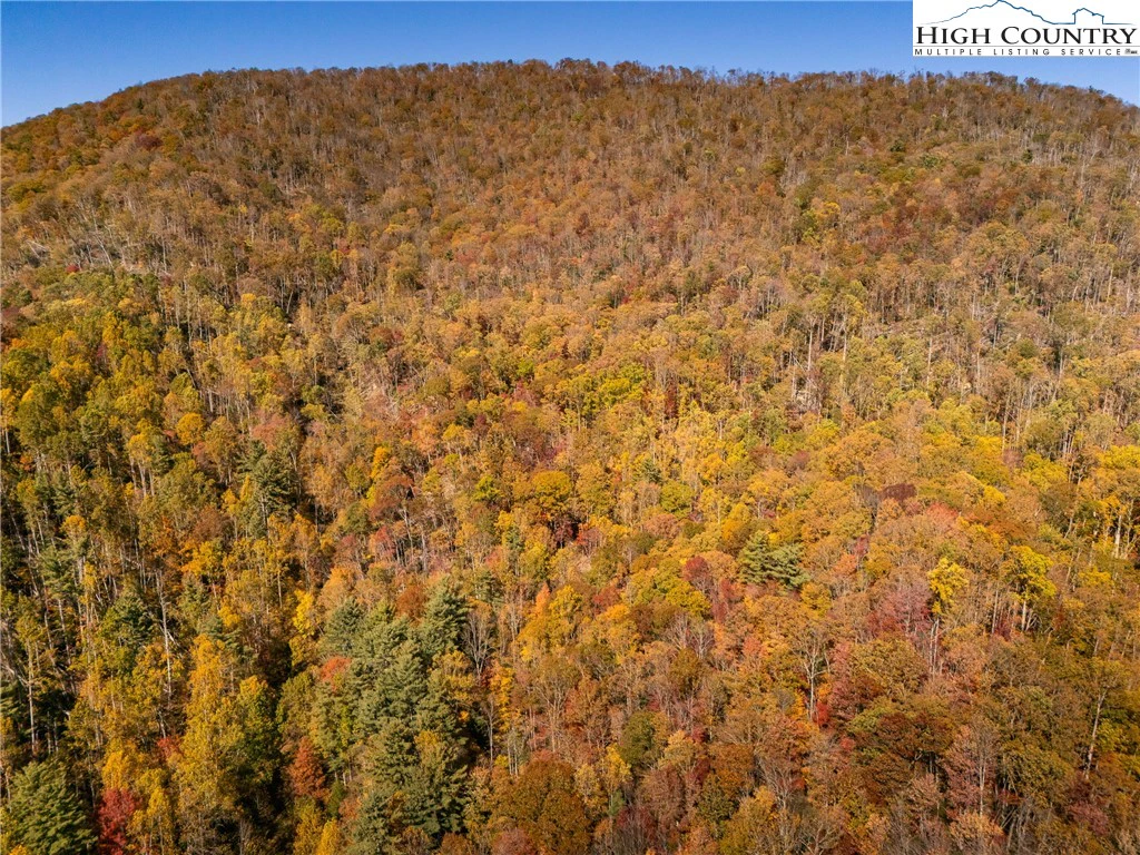 Image number 6 for the current listing