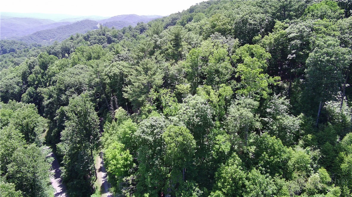 Image number 2 for the current listing
