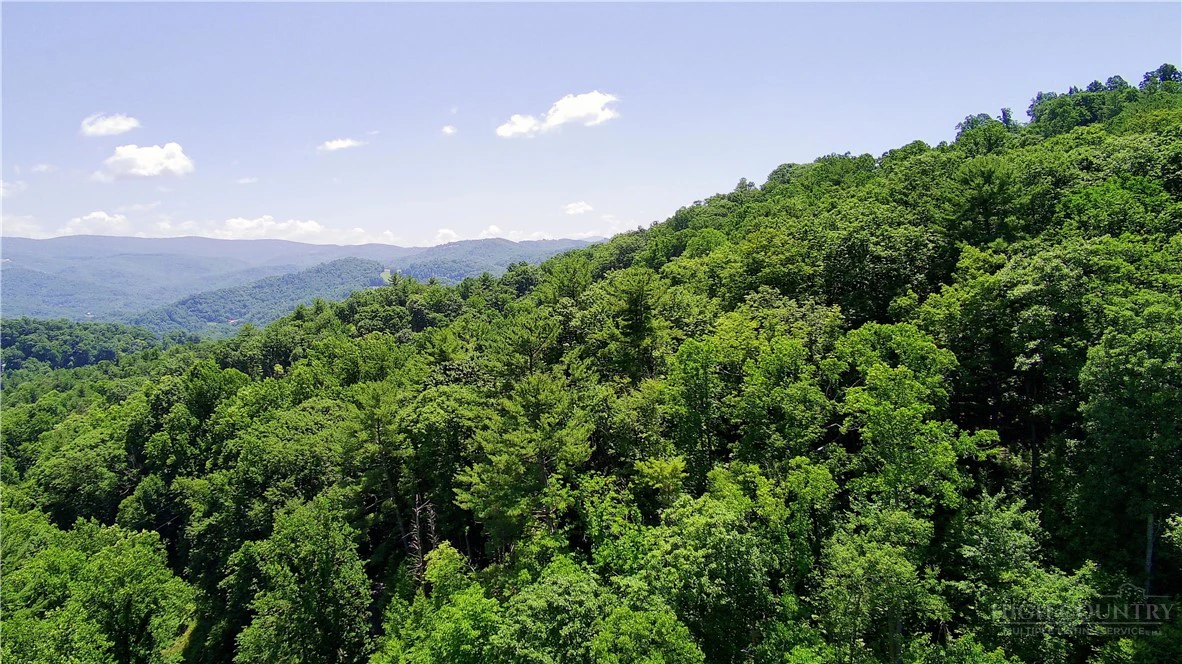 Image number 3 for the current listing