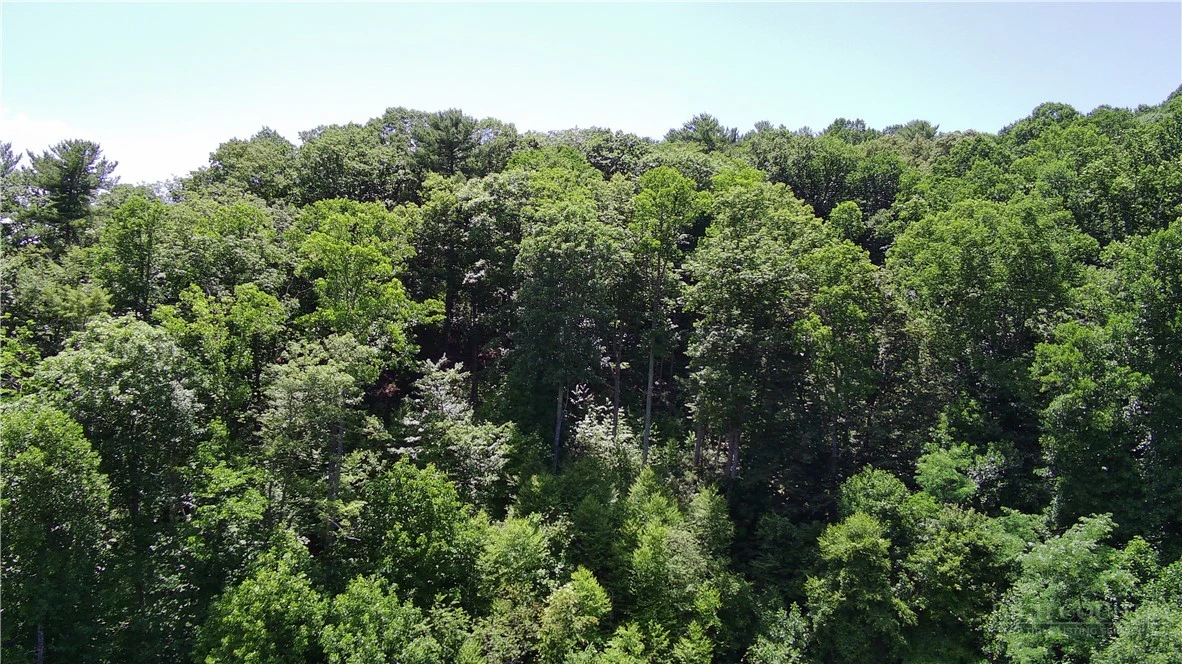 Image number 6 for the current listing
