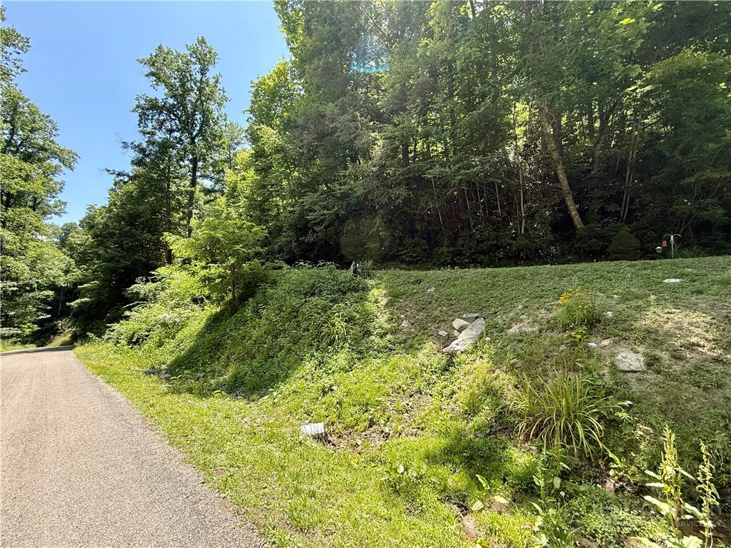 Image number 8 for the current listing