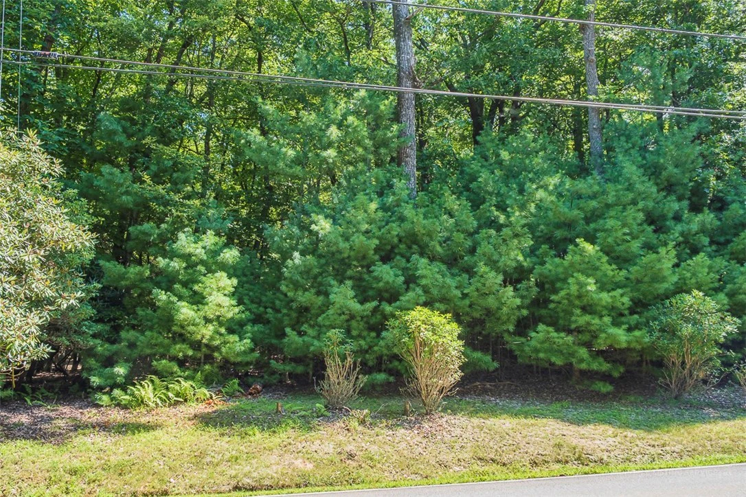 Image number 1 for the current listing