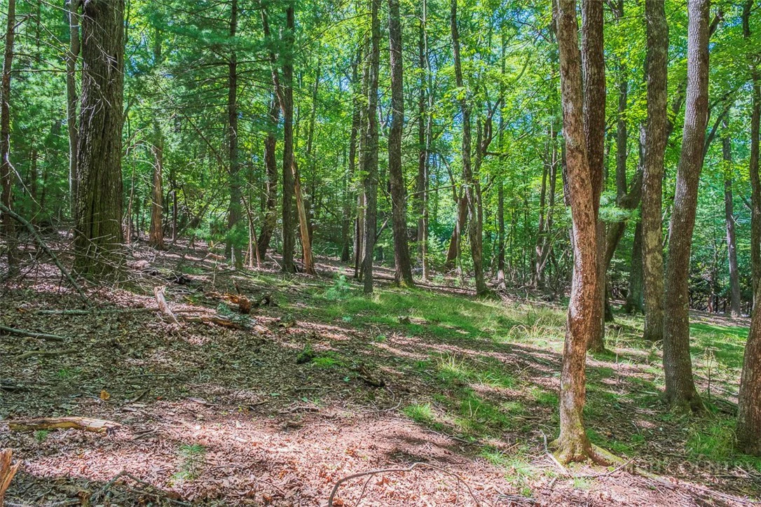 Image number 2 for the current listing