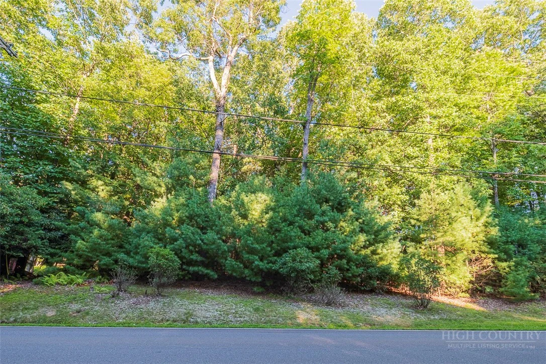 Image number 3 for the current listing
