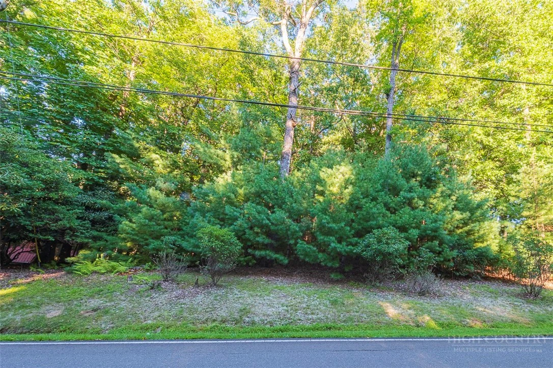 Image number 4 for the current listing