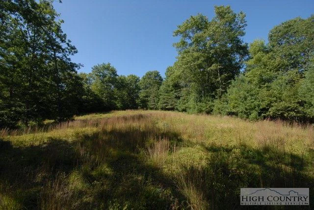 Image number 1 for the current listing